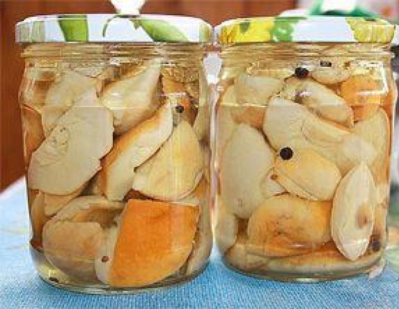 Мариновка грибов белых. Маринование белых грибов – простые и вкусные рецепты в домашних условиях