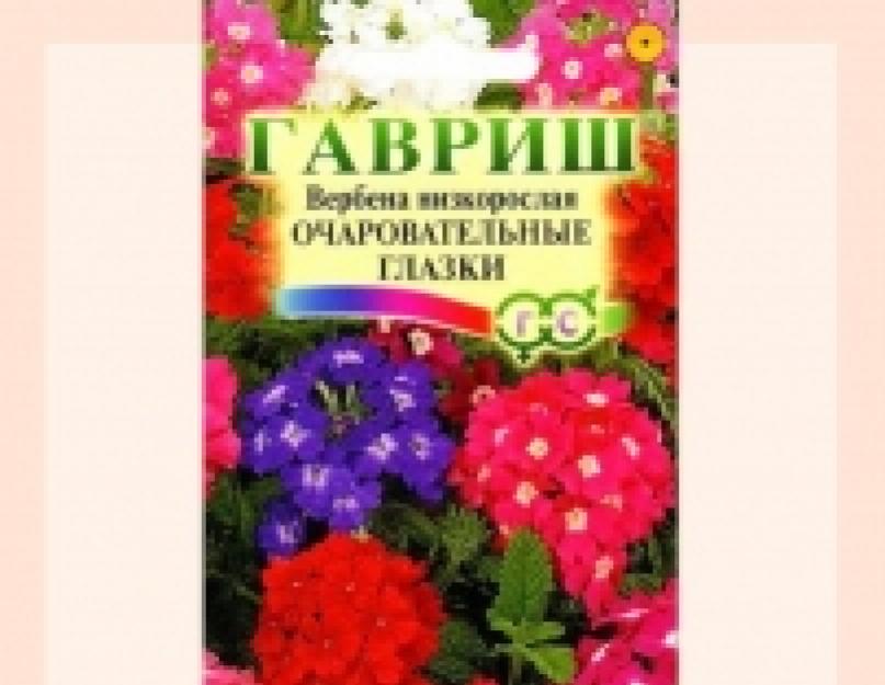 Как приготовить филе грудки на сковороде. Как пожарить ароматную куриную грудку на сковороде, чтобы все обалдели от такой вкуснятины. Калорийность жареных куриных грудок