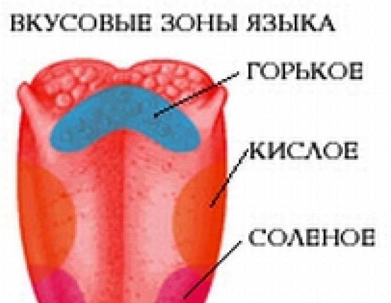 Ассоциации к слову «Вкус. Интересные сведения о терпком вкусе