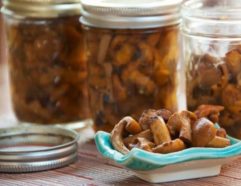 Recette de girolles bouillies.  Comment bien préparer la soupe aux girolles ?  Composition et bienfaits des girolles