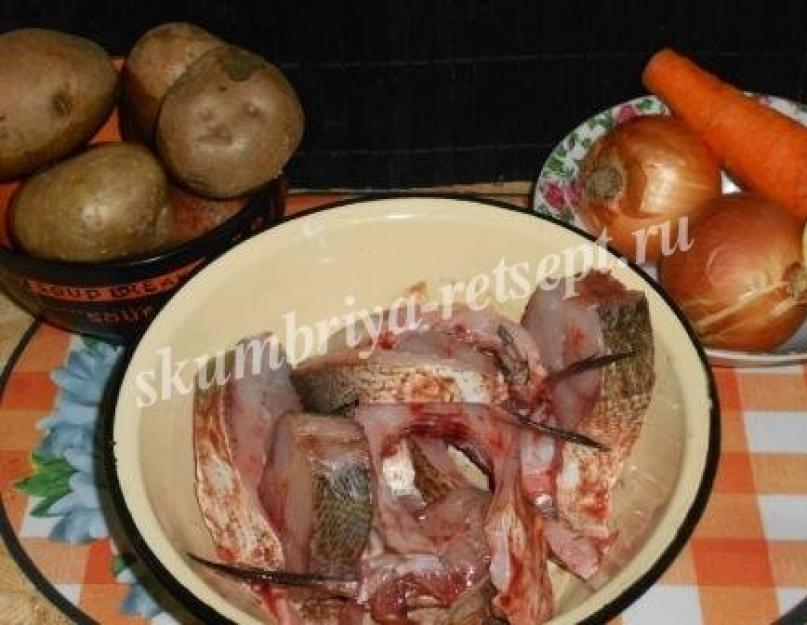 Толстолобик запеченный с овощами под сыром. Толстолобик в духовке: вкусный ужин