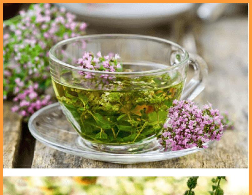 Какие травяные чаи полезны для здоровья женщины. Полезные травы для здоровья женщин: ромашка и мята. Чай для молодых девушек
