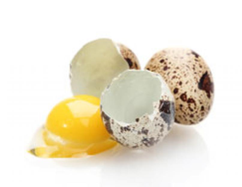 Перепелиные яйца рецепты закусок. Перепелиные яйца: польза и вред, как готовить