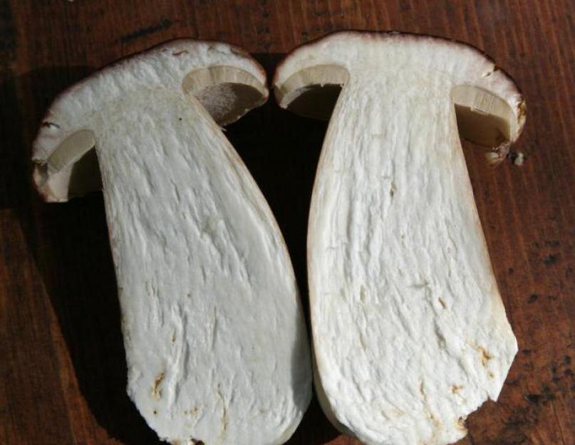 Маринованные белые грибы — простой пошаговый рецепт с картинками. Маринованные белые грибы