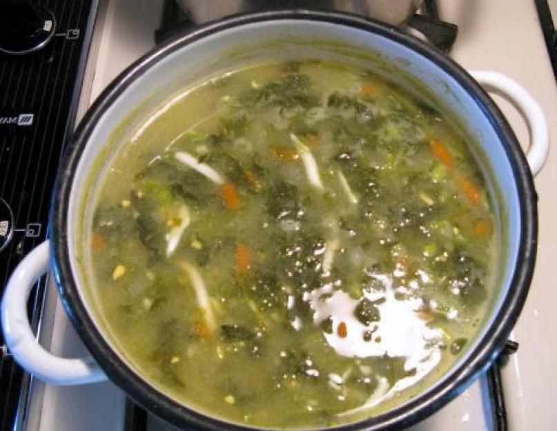 Рецепт супа со щавелем и яйцом. Инструкция, как сварить полезный зеленый суп из щавеля для ребенка в домашних условиях. Зеленый суп с молодым щавелем без мяса — пошаговый рецепт с видео