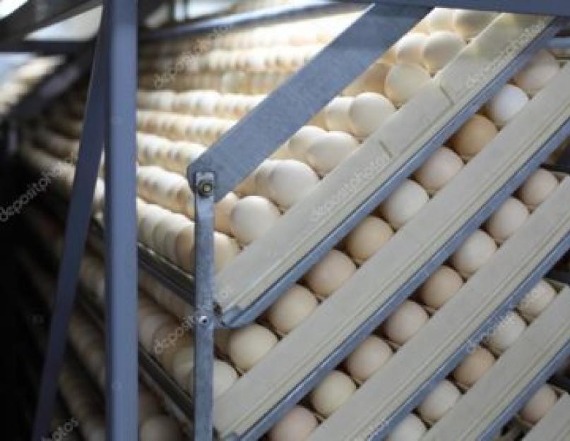 Яйца куриные замерзли можно ли их есть. Сколько можно хранить сырые куриные яйца в холодильнике? Способы поддержания нужного тепла