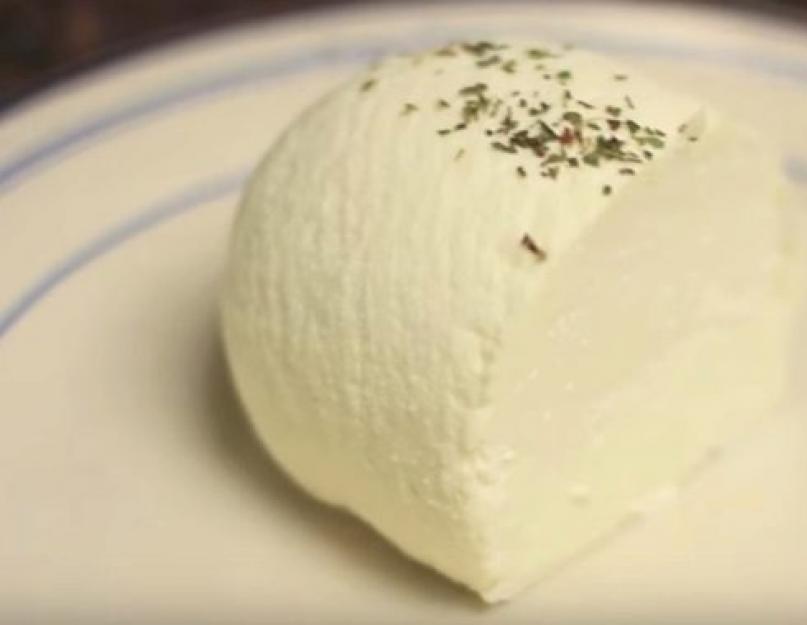 Домашний сыр из козьего молока рецепт. Как приготовить сыр из козьего молока