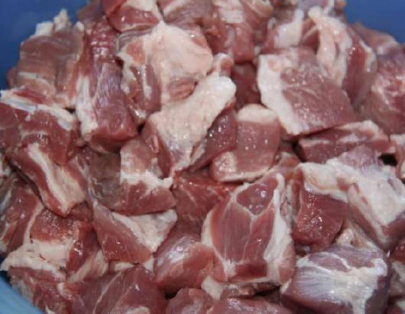Какая свинина лучше для шашлыка. Шашлыки из свинины: лучшие рецепты с сочным и нежным мясом