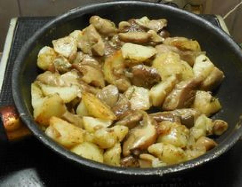 Картошка с маслятами жареная с луком на сковороде. Лучшие рецепты маслят жареных с картошкой