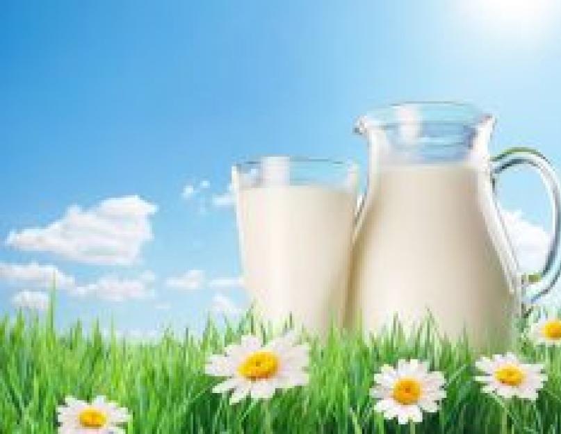 Сколько ккал в молоке 2.5. Молоко, калорийность и диетические свойства