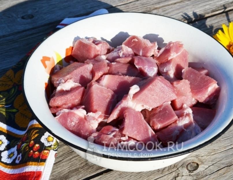 Секреты приготовления мяса для шашлыка. Шашлык из свиной вырезки