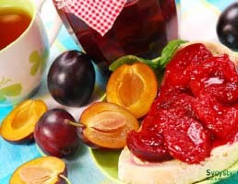 Польза свежей сливы для организма. Слива это ягода или фрукт. Противопоказания при употреблении слив