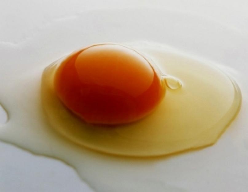 Яйцо ккал 1 шт. Описание полезных свойств яиц. Рецепты из яиц