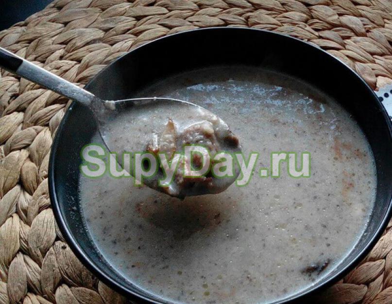 Суп из вешенок. Как готовить вешенки – грибной суп из вешенок