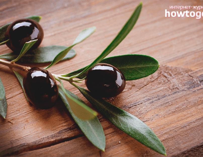 Čo je obsiahnuté v olivách.  Konzervované olivy: výhody a škody pre ľudské telo.  Jedia sa olivy surové?