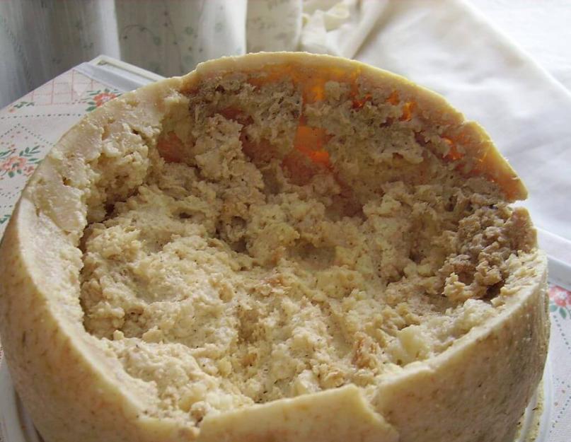 Сыр — один из основных продуктов, производимых на острове Сардиния. Гнилой сыр с личинками мух