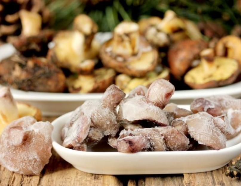 Как правильно заморозить грибы. Заготовка грибов на зиму в холодильнике – как заморозить в обычной морозильной камере