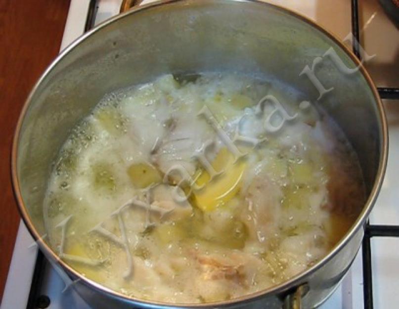 Суп из форели с молоком рецепт. Как приготовить молочный суп с рыбой? Молочный суп с рыбой