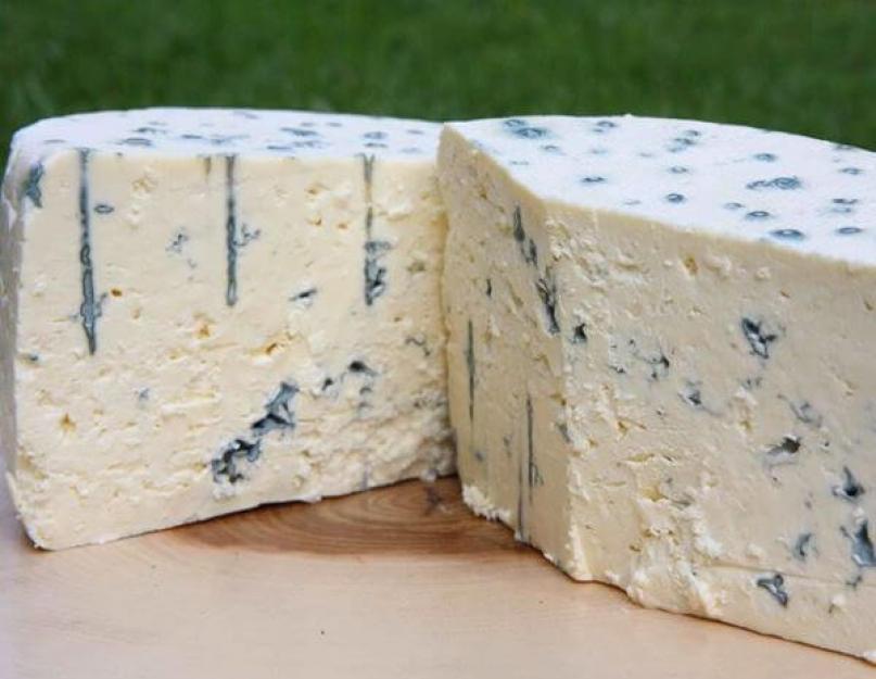 Сыр с плесенью - названия, польза и вред. Рецепты блюд с сыром с красной, белой и зеленой плесенью с фото. Сыр с плесенью: вред или польза