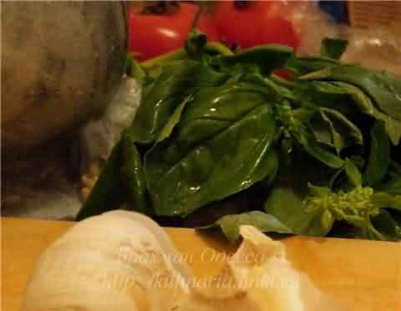 Sauce verte pour pâtes italiennes.  Sauce à spaghetti italienne : recette pour faire une vraie sauce avec photos.  Quelques secrets pour faire du vrai pesto