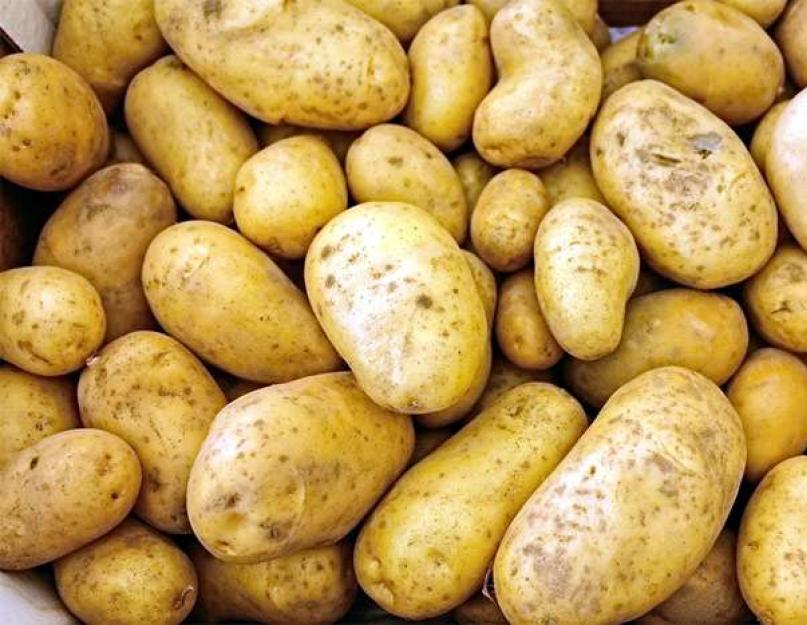 Картошка история происхождения. Правдивая история картофеля