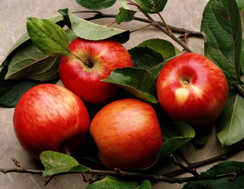 Яблоки: полезные свойства и противопоказания. Яблоки: полезные свойства для косметологии. Cостав яблок: калорийность, химический состав, витамины