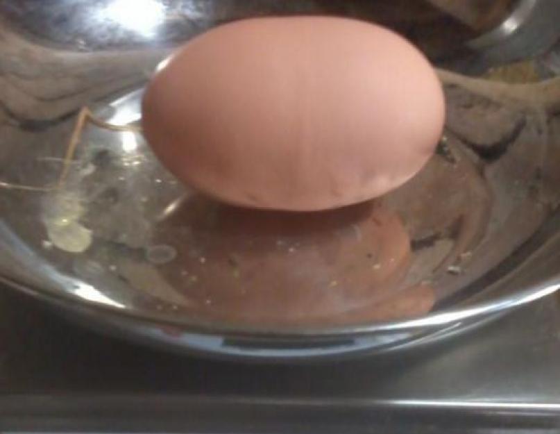 Почему несут яйца без скорлупы