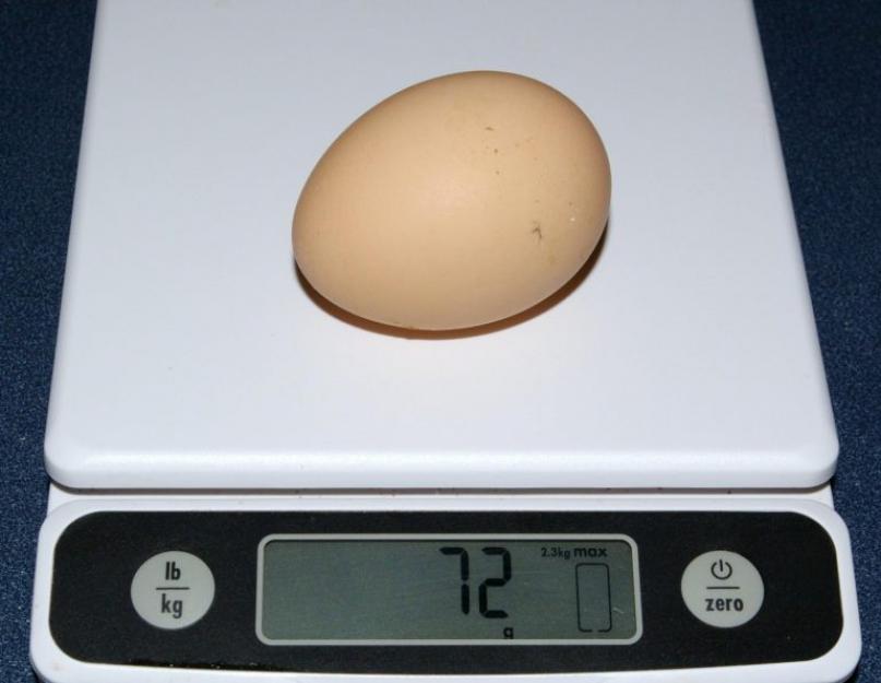 Как понять протухло ли яйцо. Как определить свежесть яйца