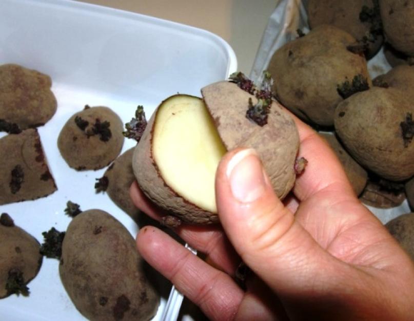 Способы нарезки картофеля для жарки. Как правильно нарезать картошку волной. Три способа красивой нарезки