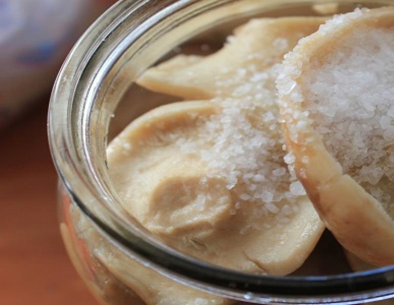 Metti i funghi al latte in salamoia in un barattolo da 3 litri.  Il decapaggio a caldo dei funghi al latte è una ricetta facile e gustosa.  Caratteristiche nella preparazione dei funghi al latte