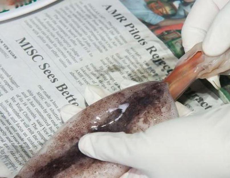 Как почистить кальмары от пленки быстро пошаговый рецепт. Как чистить кальмары легко и быстро