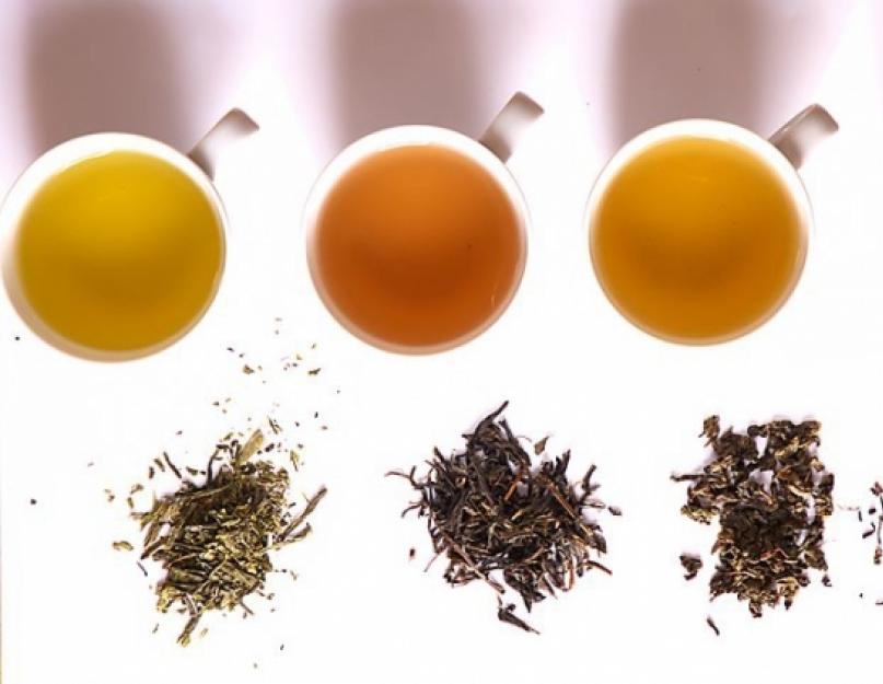 Какой листовой чай самый лучший. Какой чай самый полезный для здоровья