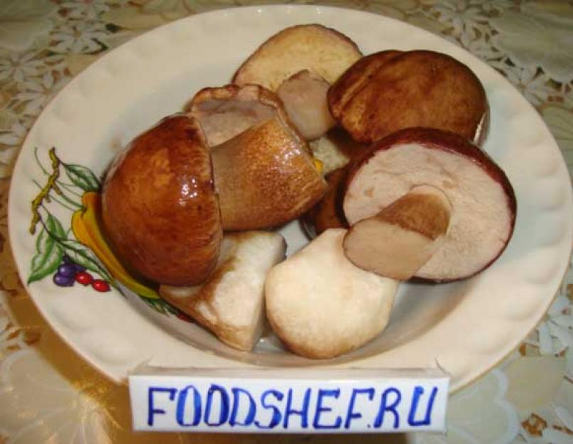 Вкусные жареные белые грибы. Как правильно жарить белые грибы на сковородке. Рецепты жарки из соленого продукта