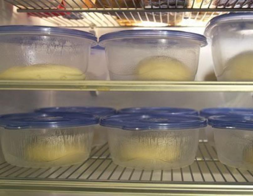Дрожжевое тесто в холодильнике: особенности хранения и сроки. Как хранить дрожжевое тесто: полезные советы