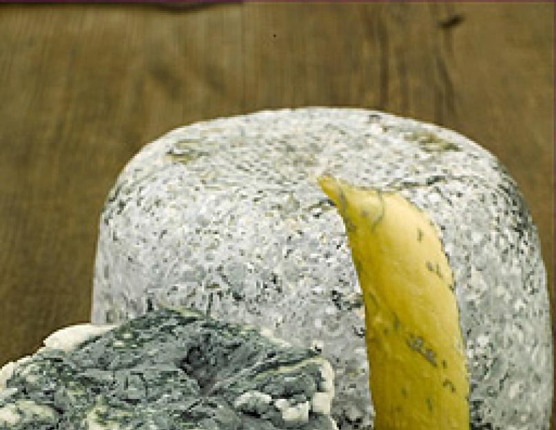 Cыр с плесенью - легенды и польза. Две легенды о том, как появился знаменитый сыр с голубой плесенью рокфор