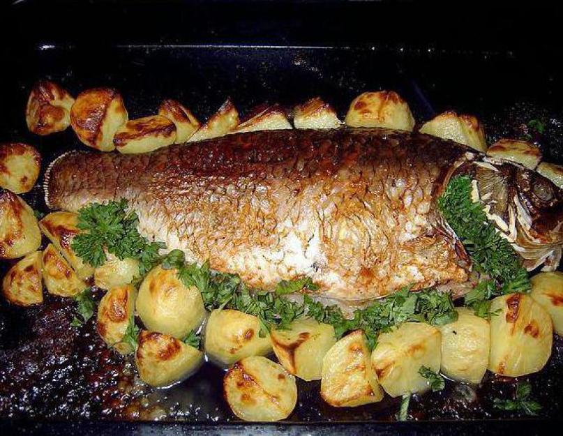 Карась запеченный калорийность на 100 грамм. Карась, запеченный в духовке. Рыба с картофелем