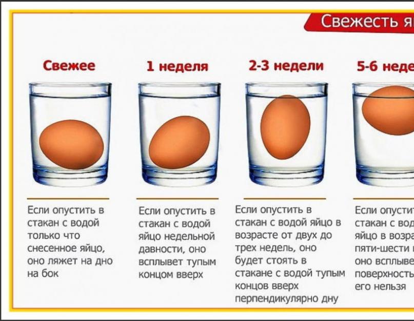 Куриное яйцо всплывает в холодной воде. Почему же все-таки испорченное яйцо всплывает? Последствия того, если яйца всплывают в воде при варке