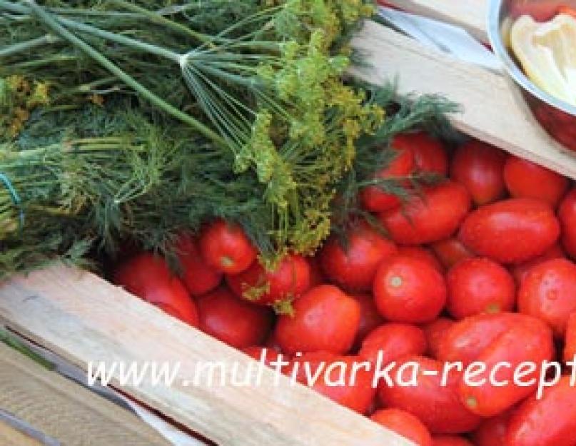 Квашеные помидоры в кастрюле на зиму. Рецепт квашеных зеленых помидоров в кастрюле. Соленые помидоры