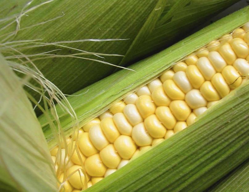 Заготовки из кукурузы. Кукуруза на зиму в домашних условиях