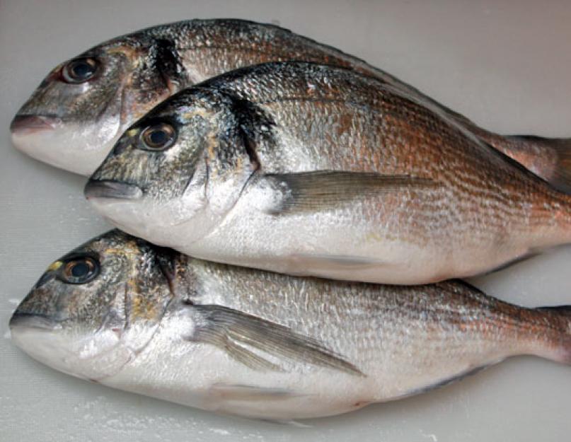Рыба дорадо: польза и вред, описание, рецепты приготовления. Достоинства рыбы дорадо. Что это за рыба