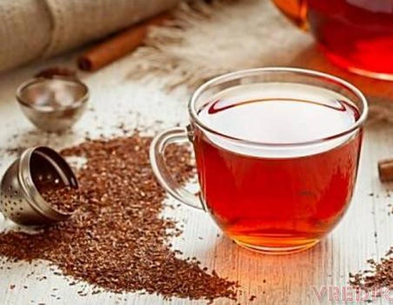 Чай Ройбуш: описание, полезные свойства и противопоказания. Чай ройбуш (полезные свойства, возможные противопоказания, влияние на здоровье)