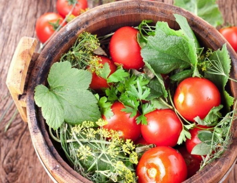 Как засолить томаты. Как солить помидоры на зиму: подборка самых «вкусных» рецептов