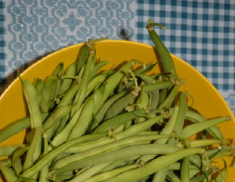 Combien de temps faire cuire les haricots verts pour les congeler.  Comment congeler un produit cuit ?  Ragoût de haricots verts, chou et aubergine