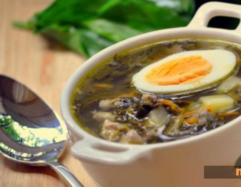 Приготовить зеленый суп из щавеля. Как варить суп из щавеля ребенку – рецепт с фото. Суп с крапивой, щавелем и яйцом