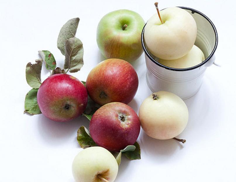 Заготовки на зиму из летних сортов яблок. «Золотые рецепты» вкусных заготовок из яблок на зиму. Моченые яблоки на зиму