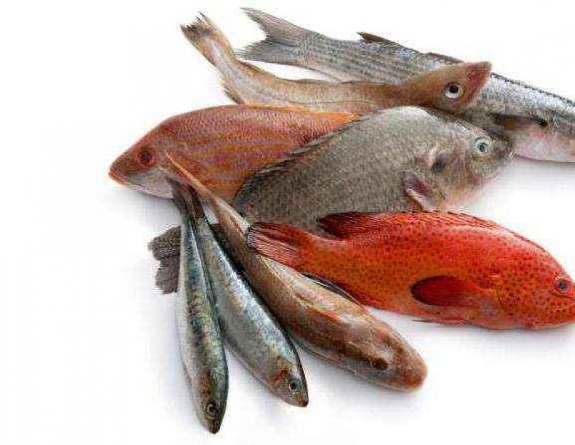 Bienfaits du poisson rouge pour la santé.  Le poisson rouge aide bien avec des maladies telles que.  Vitamines et composition du poisson rouge