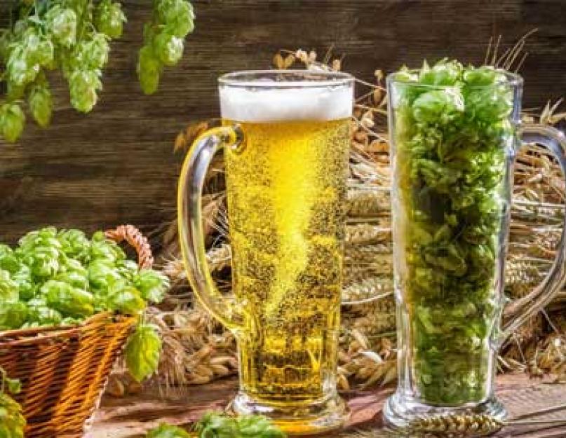 Как пиво влияет на мужской организм? Польза и вред пенного для мужчины. Как пиво влияет на состояние мужского организма