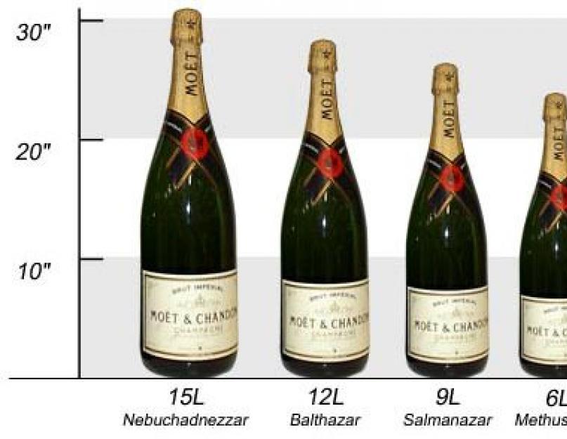 Бутылка шампанского: описание, объемы, правила открывания. Я пью звезды