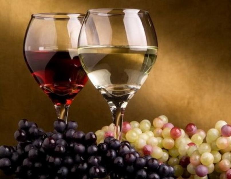 Как собирают виноград для вина. Как правильно обрезать виноград для урожая. Подкормка и защита от заморозков