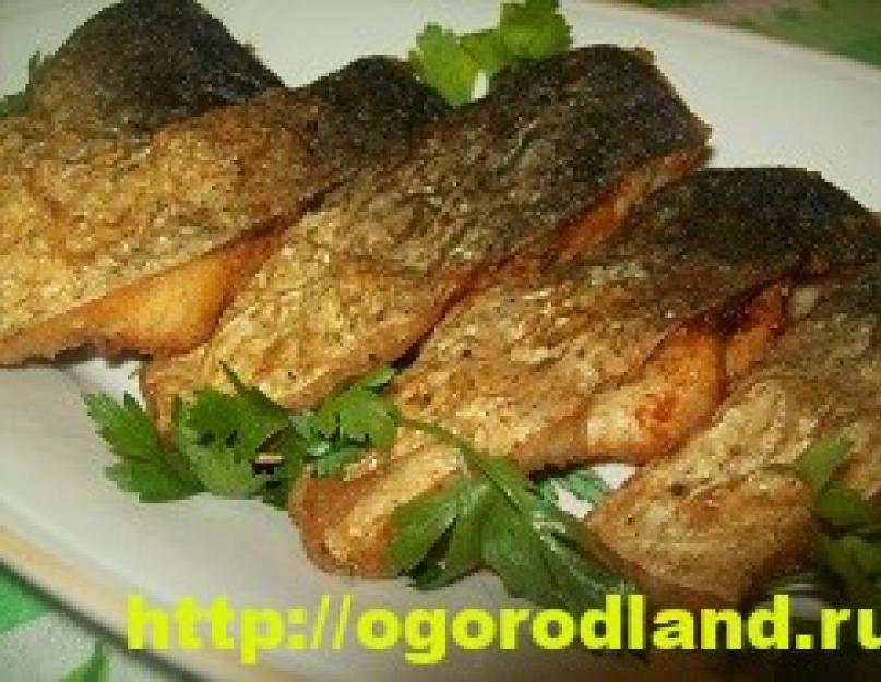 Рецепты приготовления толстолоба. Как готовить толстолобика: универсальная рыба